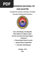 Casi Terminado Minerologia