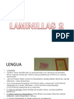 Laminillas 2 2014