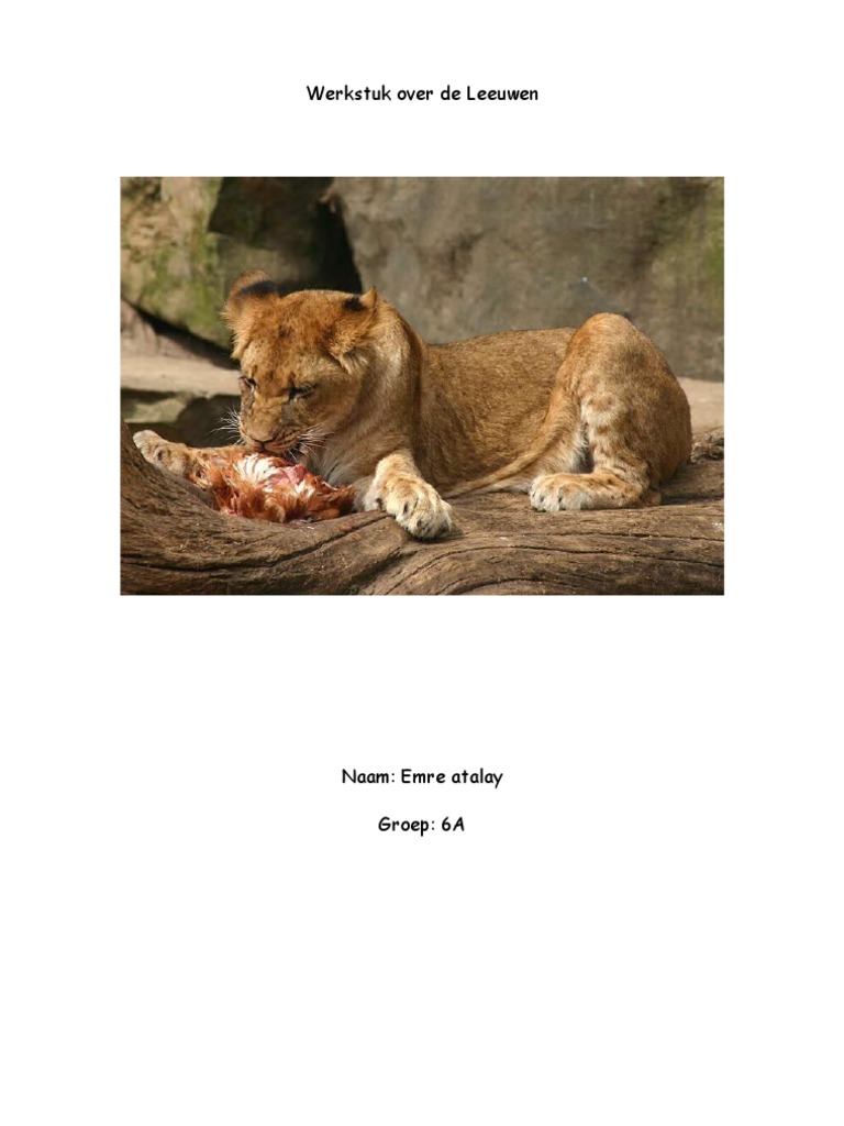 Werkstuk Over de Leeuwen | PDF, image size:768x1024