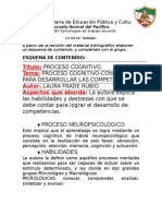 Proceso Cognitivo.docx