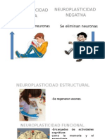 Neuro Plasticidad