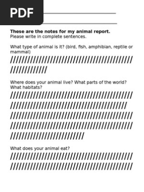Animal Report Notes