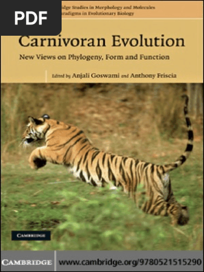 Carnivoranevolutionpdf Pinniped Felidae - 