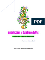 Int Estudio Voz.doc