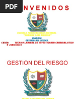D. GESTIION DEL RIESGO.pptx
