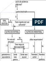 Diapo Formas de Alimentacion