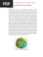 trabajo impacto ambiental