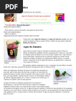 Água Da Jamaica
