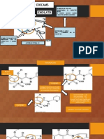 Oxicams Diapos