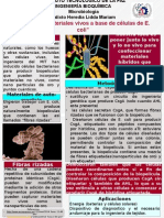 Poster Microbiologia