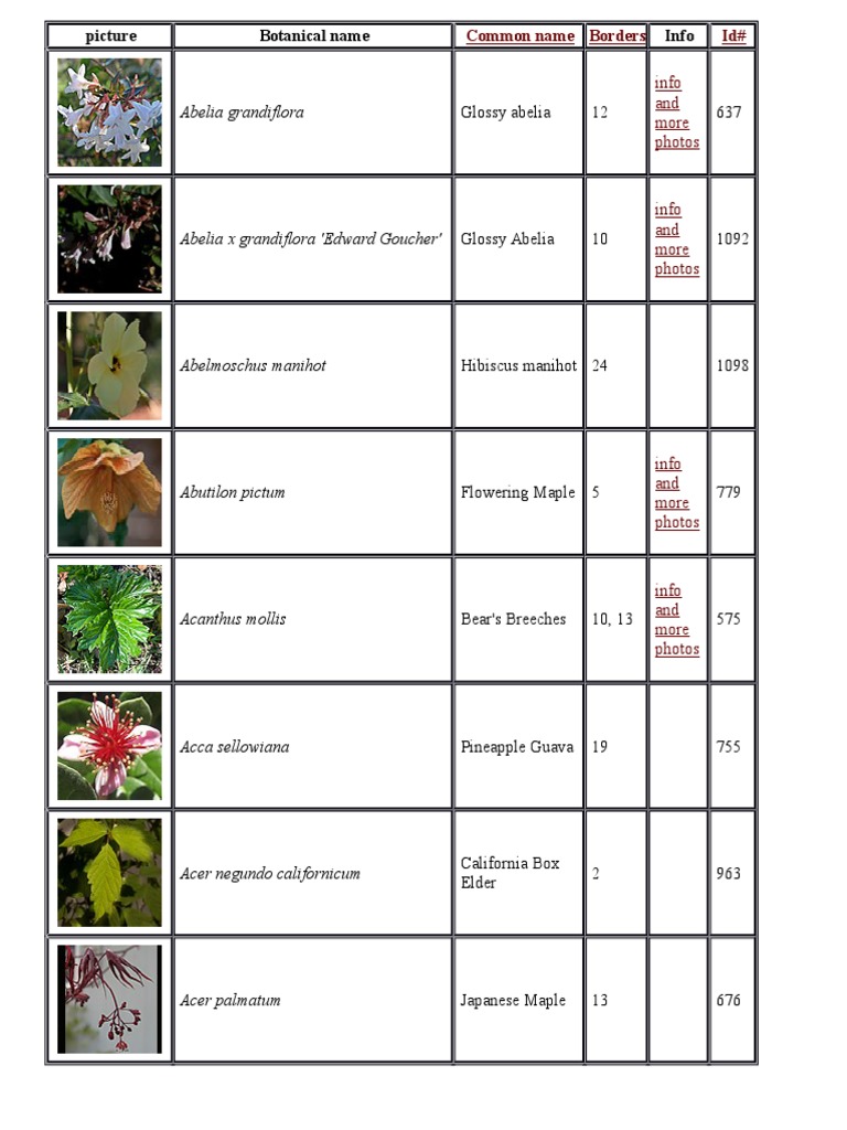 Garden Plant Reference Guide | PDF