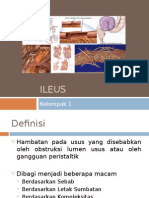 kelompok1 ILEUS