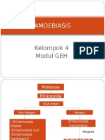 Kelompok4 AMOEBIASIS