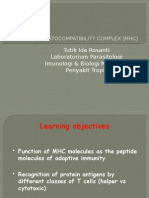 Major Histocompatibility Complex (MHC)