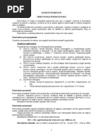 Pueri Final 1