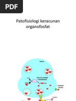 Download Patofisiologi keracunan organofosfat by Yolanda Hendrawan SN266919164 doc pdf