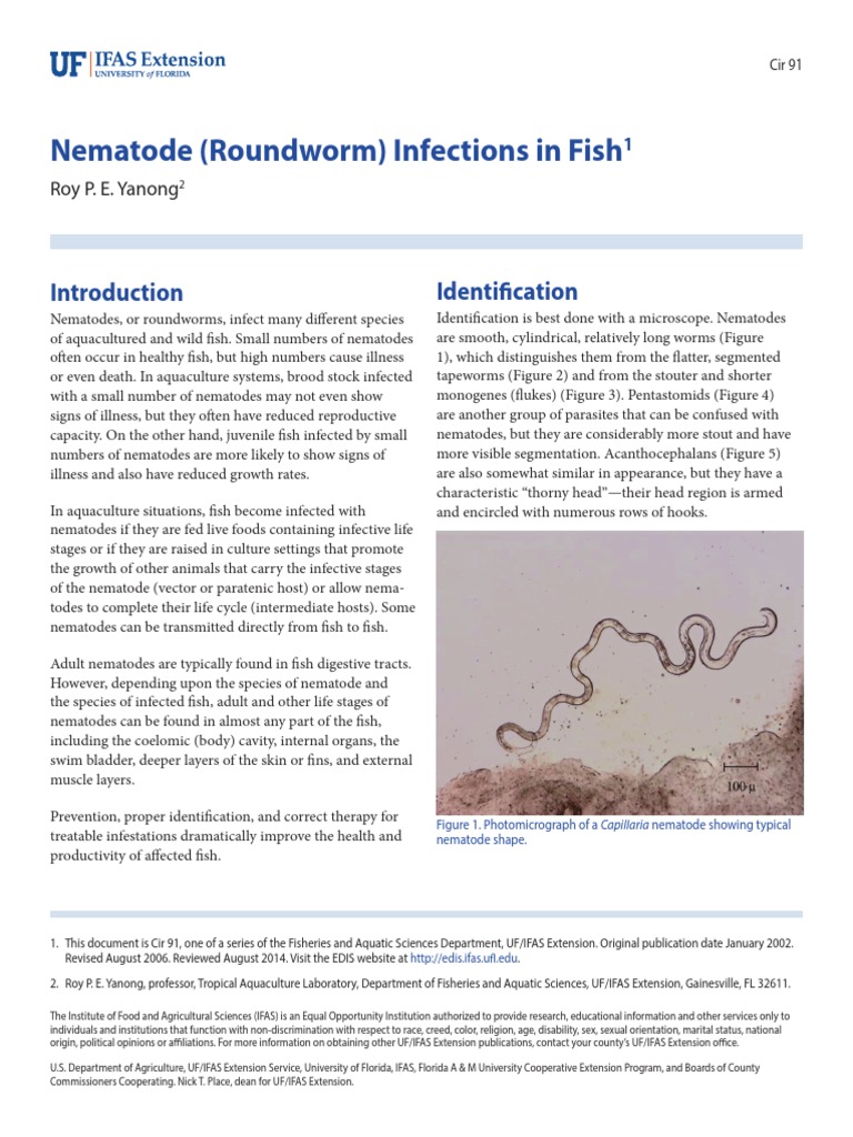 Nematode (Roundworm) Infections in Fish | PDF | Home & Garden | Wellness