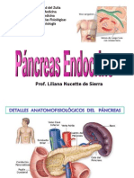 Páncreas Endocrino