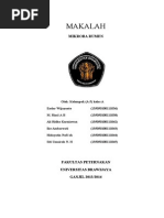 Download Makalah Mikroba Rumen by Endar Wijayanto SN266942966 doc pdf