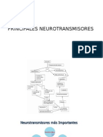 Principales Neurotransmisores