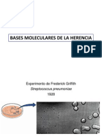 02 Bases Molec de La Herencia