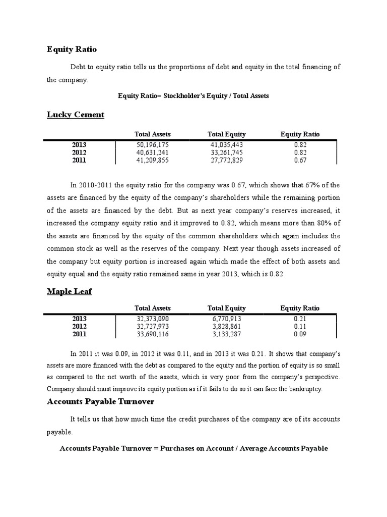 Analysis of Equity Ratios, Accounts Payable Turnover, and Dividend
