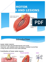 Lower Motor Neuron Lesions