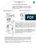 C.L. Las Celulas en Los Organismos Pluricelulares