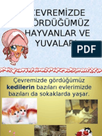 Çevremİzde gÖrdÜĞÜmÜz Hayvanlar Ve Yuvalari