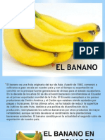 El Banano