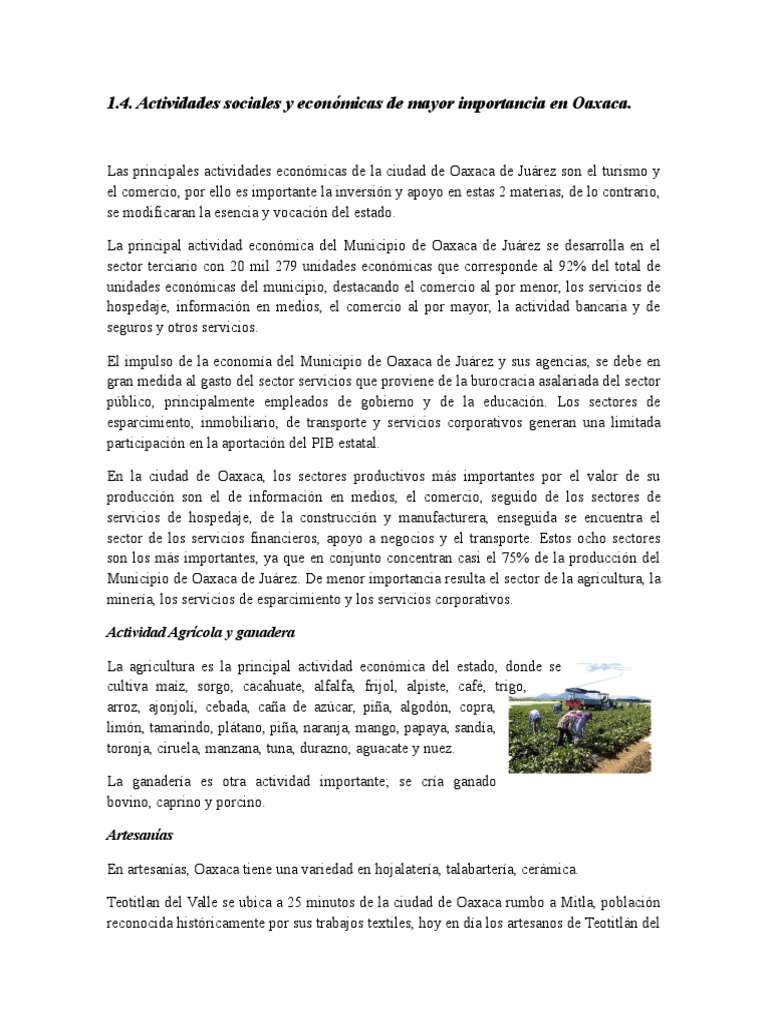 1.4. Actividades Sociales y Económicas de Mayor Importancia en Oaxaca ...