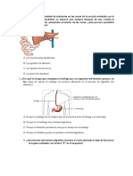 Preguntas para La Prueba Ciencias