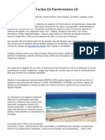 Article   Alquiler De Coches En Fuerteventura (2)