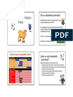 P-3. Metabolicki Poremecaji U Krava