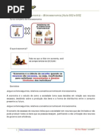 amandaaires-economia-microeconomia-001.pdf