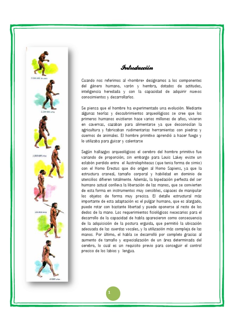 Evolución del Hombre en Línea de Tiempo | PDF | Homo | neanderthal