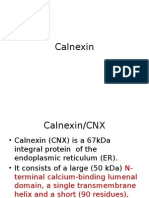 CalneXin