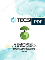 tema 2EL MEDIO AMBIENTE Y LA RESPONSABILIDAD SOCIAL EMPRESARIAL (RSE)