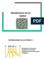 Metabolismo Lipidos 1 UDD