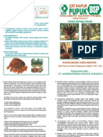 Brosur Kelapa Sawit PDF