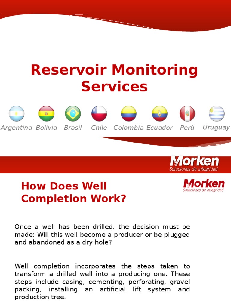 Reservoir Monitoring Service by Ricardo | PDF | Casing (Borehole ...