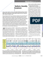 Complete Chemical Synthesis, Assembly, and Cloning of A Mycoplasma Genitalium Genome