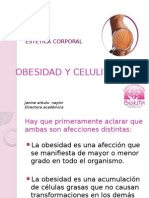 Causas de La Obesidad