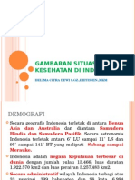 Gambaran Situasi Kesehatan Di Indonesia