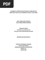 aislamiento de  javeriana.pdf