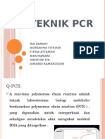 PCR TEKNIK