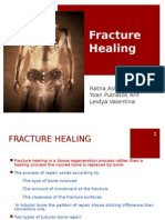 Fracture Healing Majuuuu