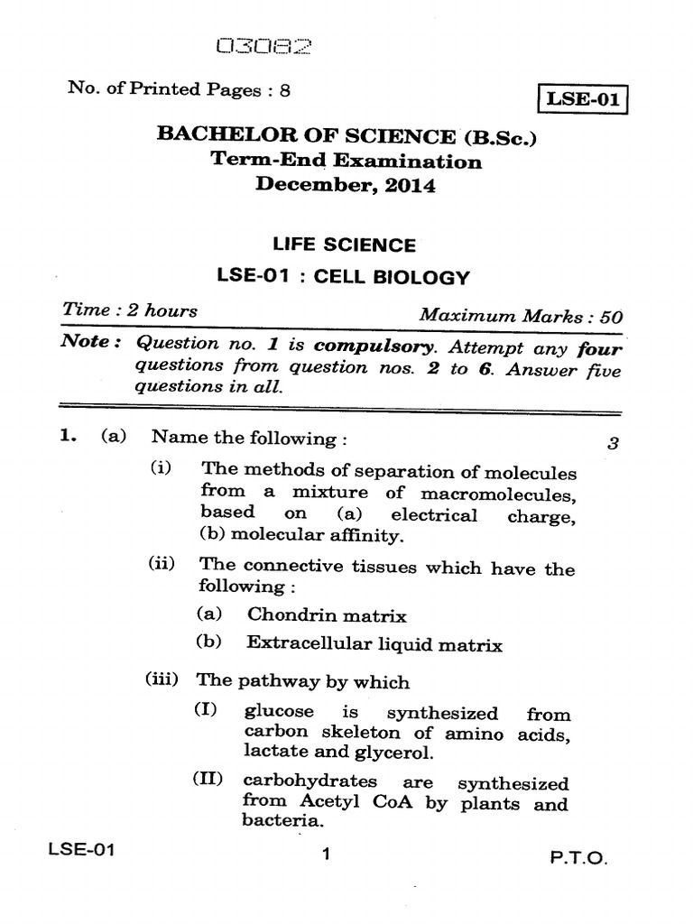 Cell Biology Exam Paper December 2014 | PDF | Biosynthesis | Osteoblast