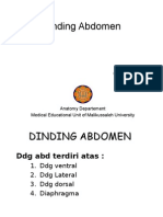 Dinding Abdomen PP