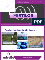 Instalação de Um Pomar de Mirtilos